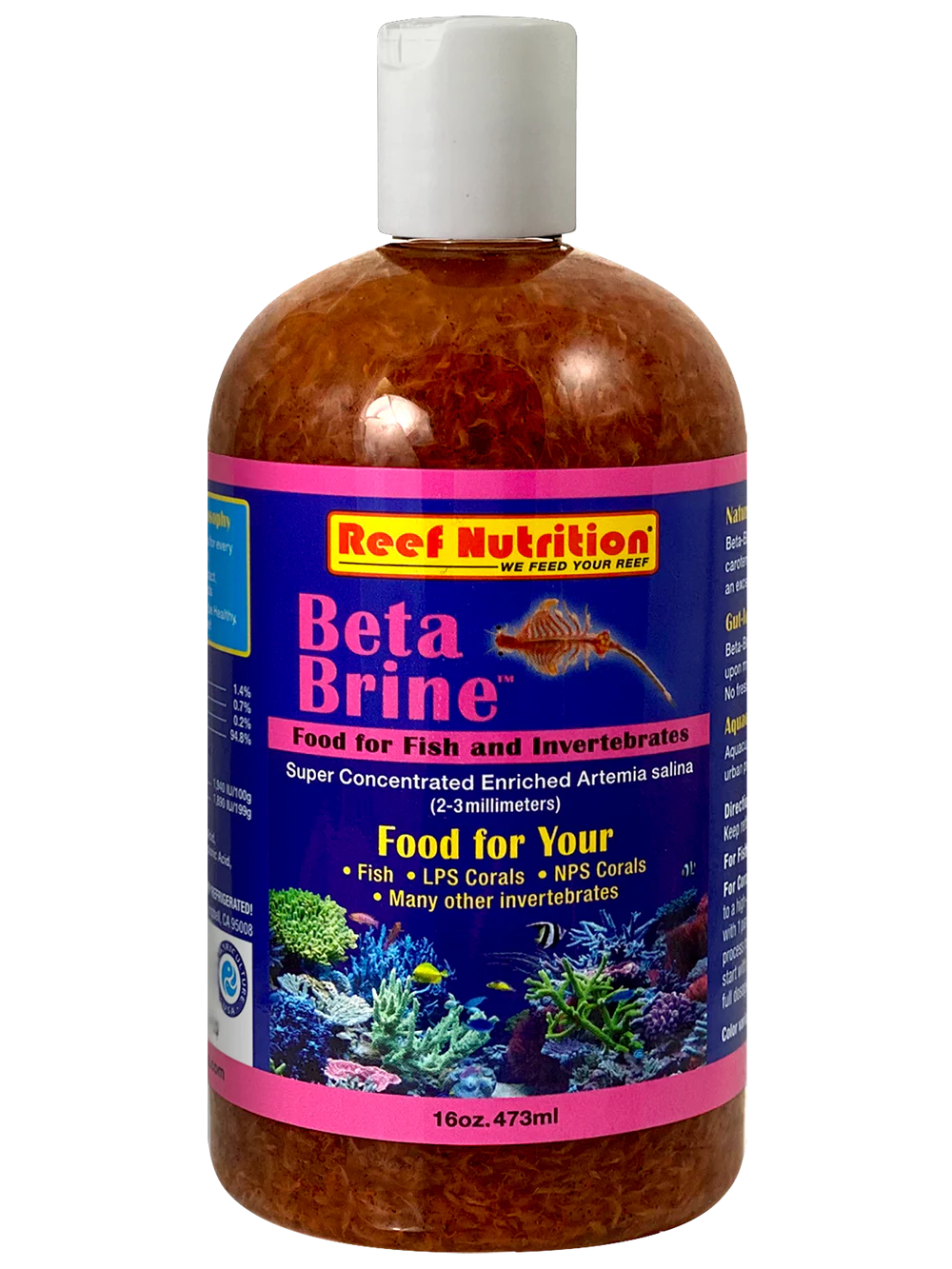 RN - Beta Brine