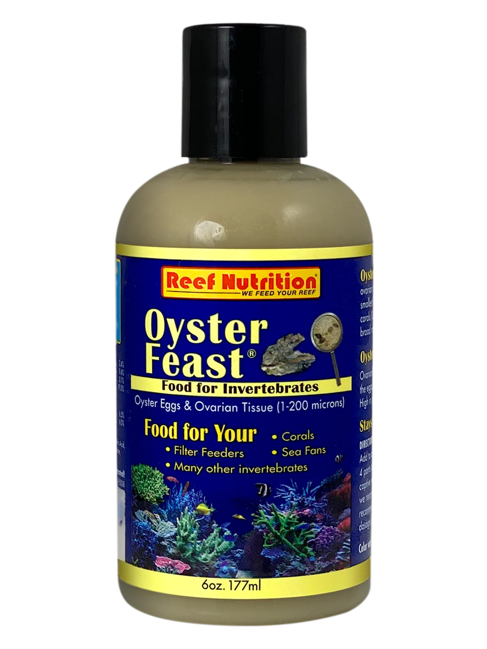 Oyster-Feast