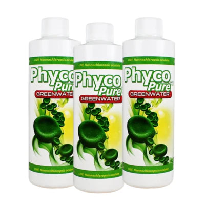 Phyco Pure - Greenwater