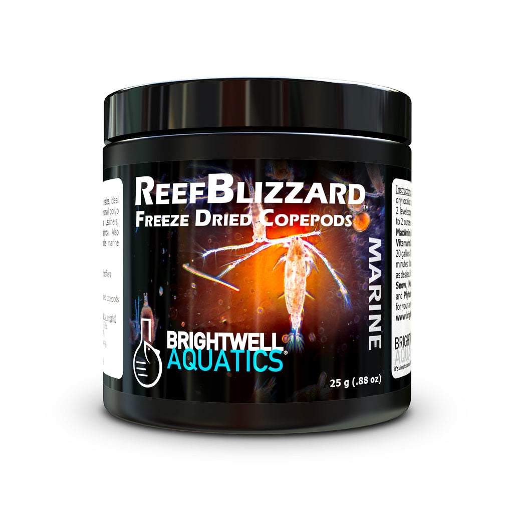 Reef Blizzard Copepods