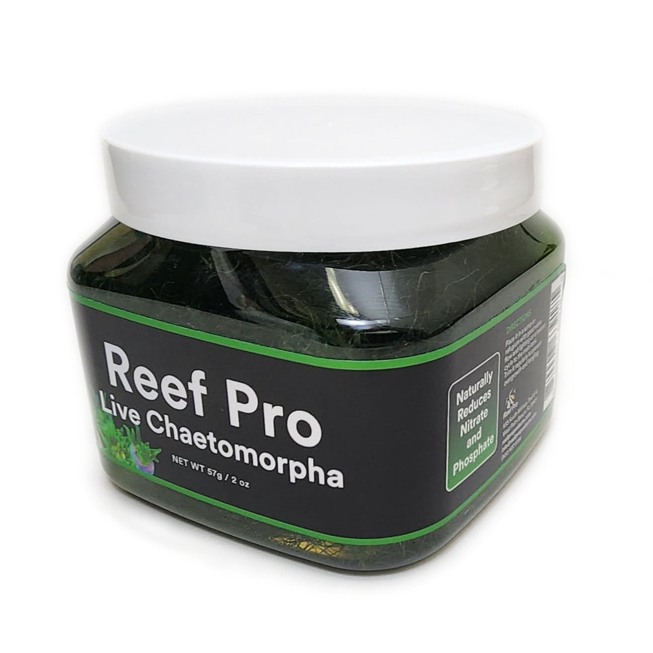Reef Pro - Green Chaetomorpha Macro Algae - 1 cup
